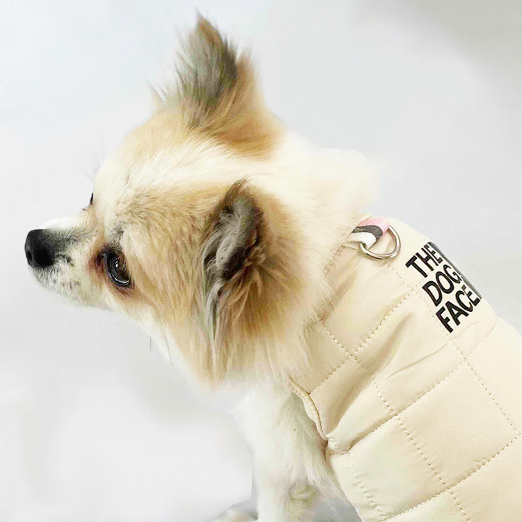 Hundkläder