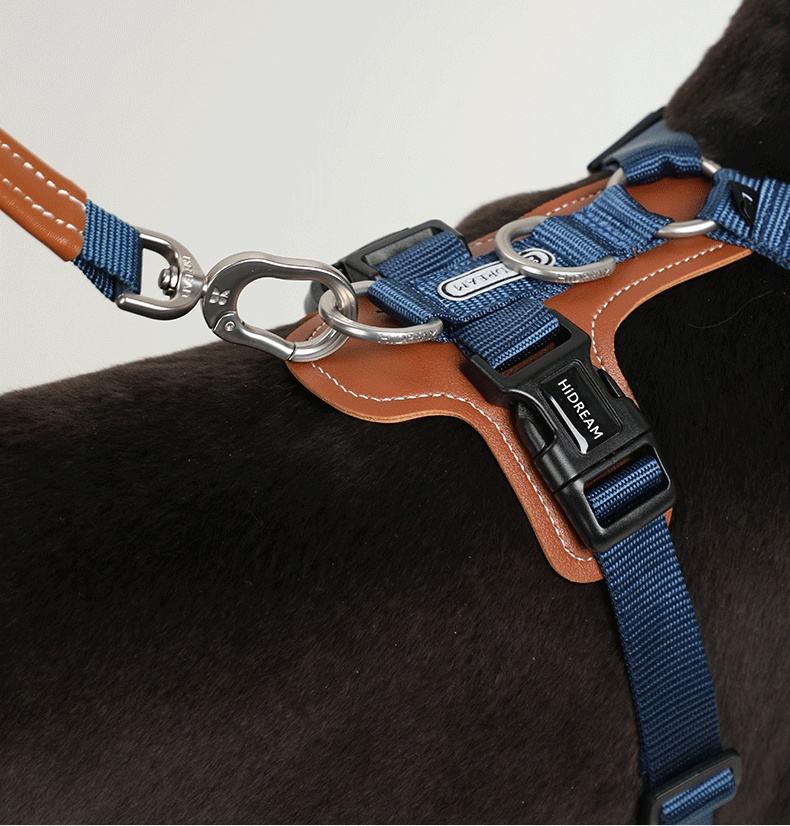 Stilrent hands- free koppel och sele