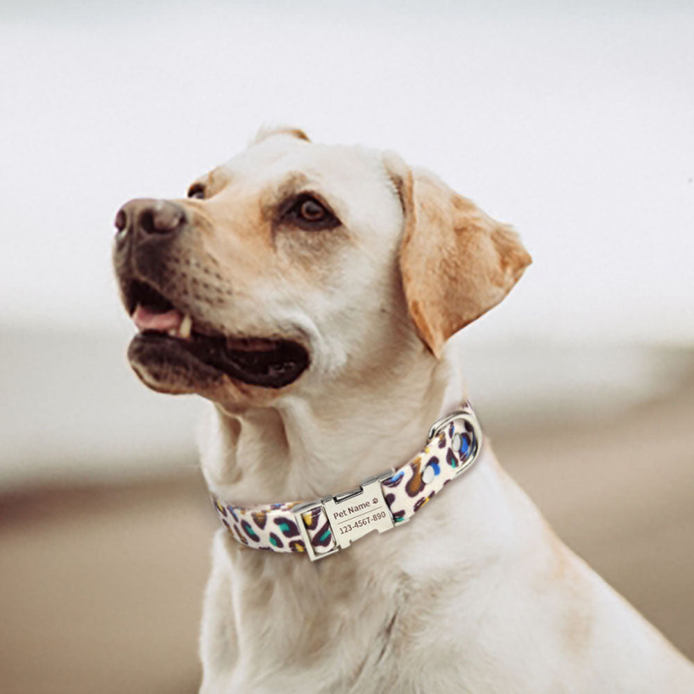 Leopardmönstrat hundhalsband