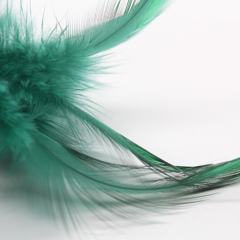 Catnip toy with feather