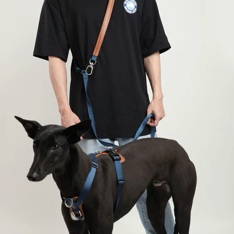 Stilrent hands- free koppel och sele