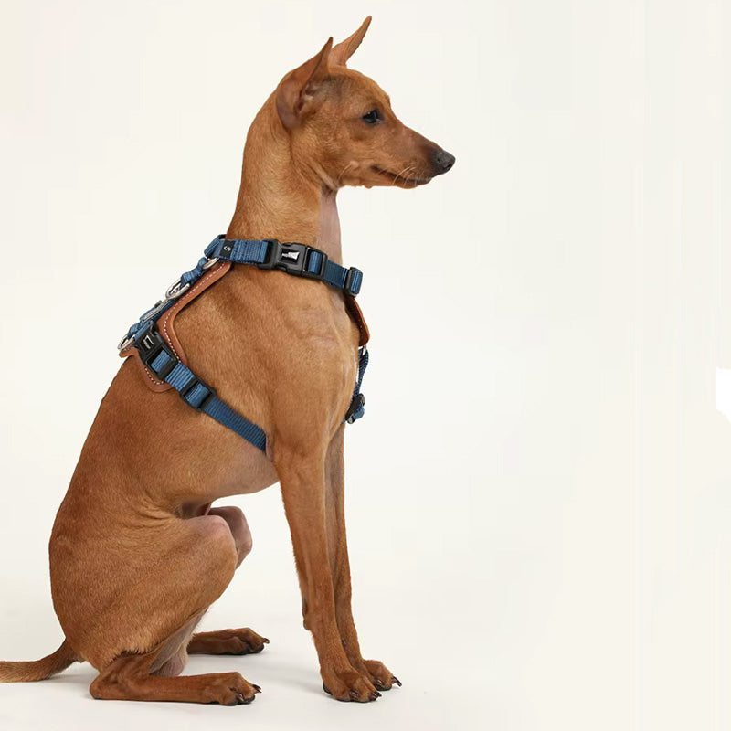 Stilrent hands- free koppel och sele