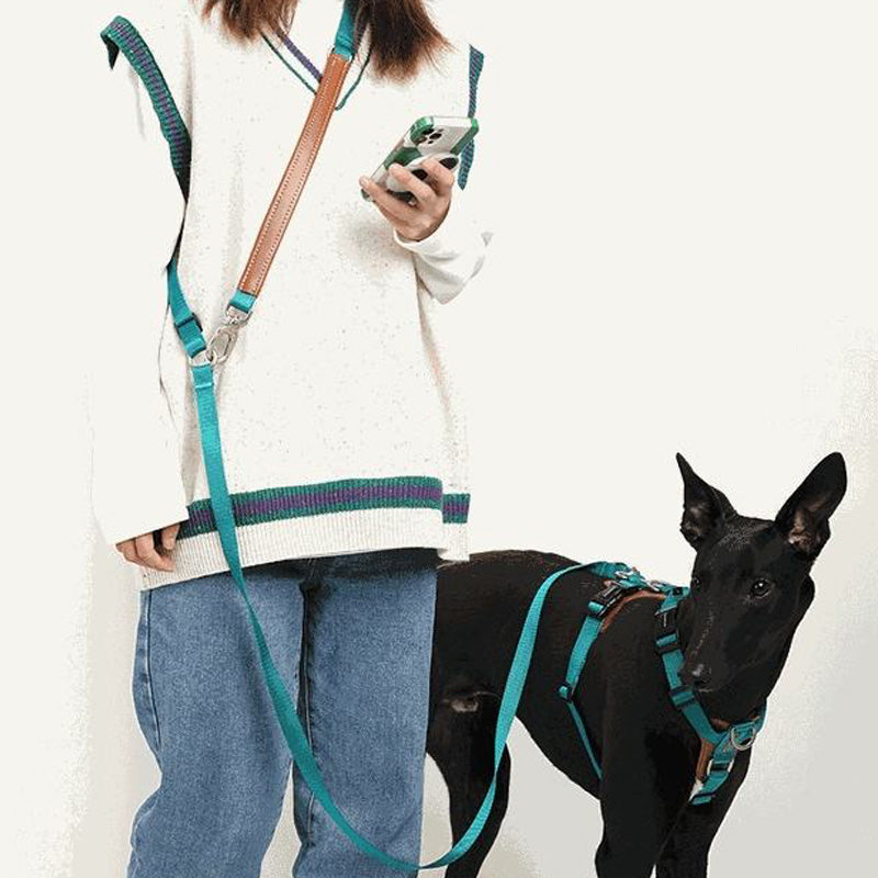 Stilrent hands- free koppel och sele