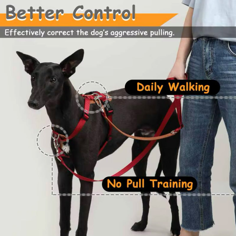 Stilrent hands- free koppel och sele