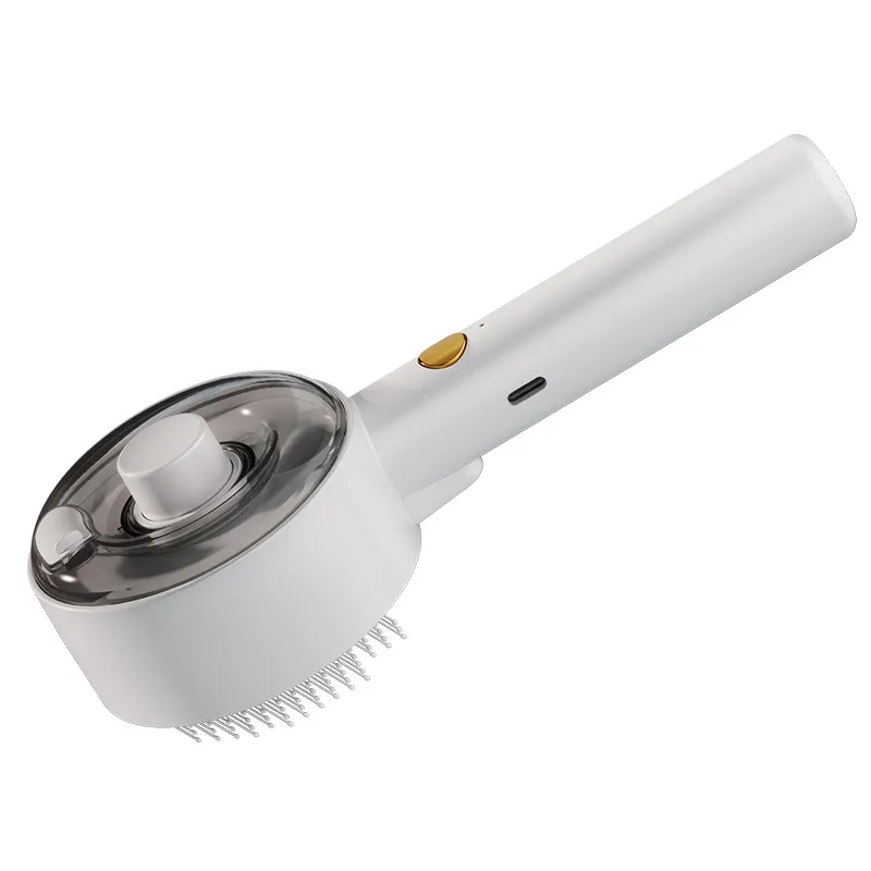 Massage brush combined with water vapor