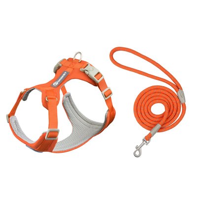 Comfortable dog harness and leash set