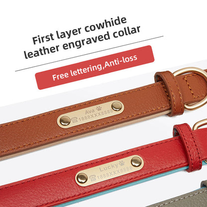 Luxurious two-tone leather dog collar with personal engraving