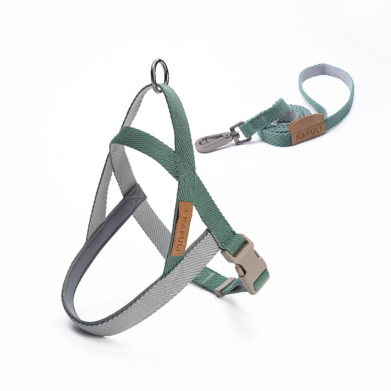 Sturdy dog ​​harness and matching leash