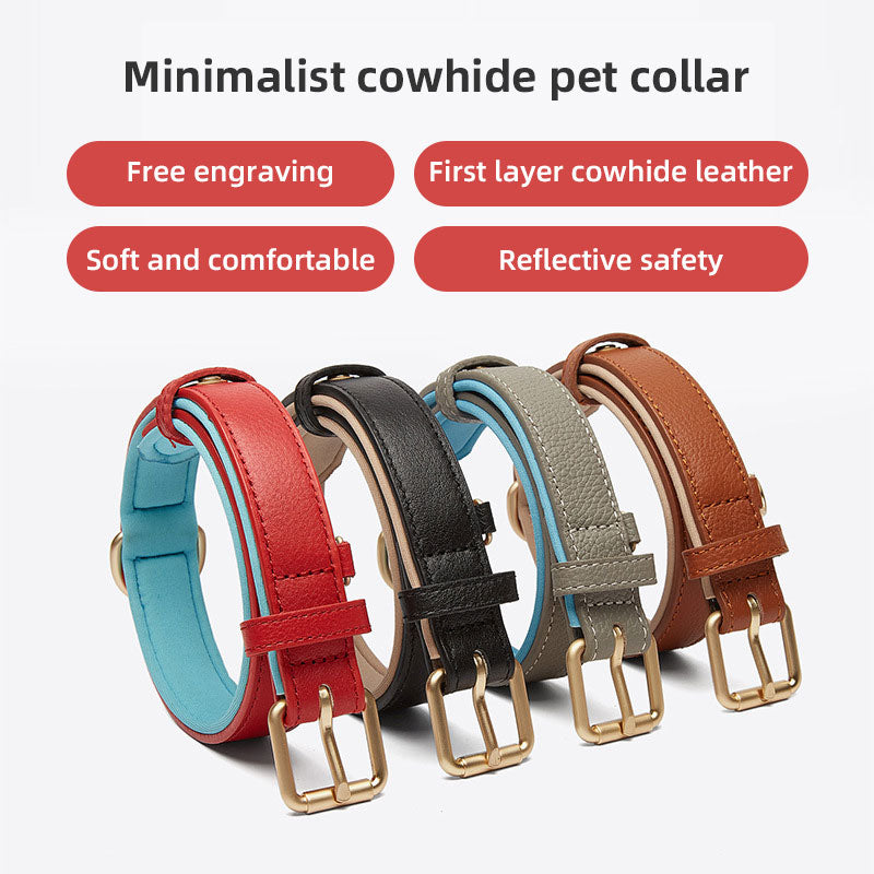 Luxurious two-tone leather dog collar with personal engraving