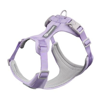 Comfortable dog harness and leash set