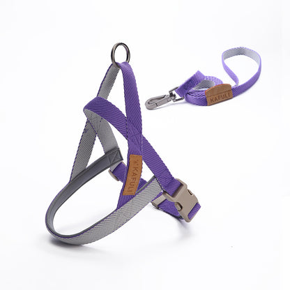 Sturdy dog ​​harness and matching leash