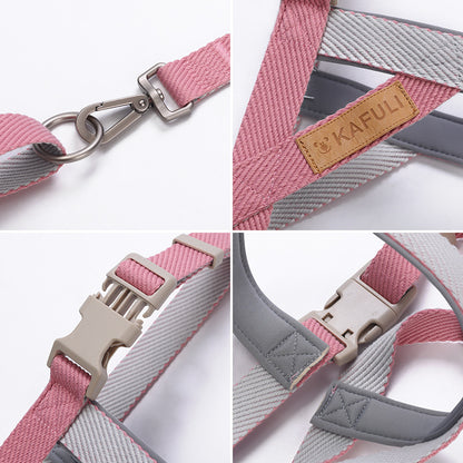 Sturdy dog ​​harness and matching leash