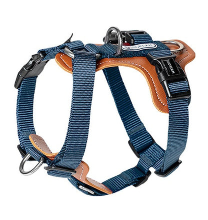 Stylish hands-free leash and harness