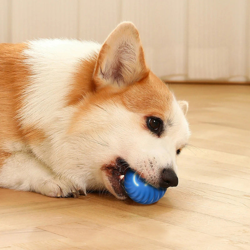 Smart Bouncing Ball for Dog Gravity Intelligent Charged by USB