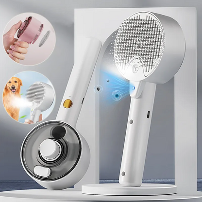 Massage brush combined with water vapor