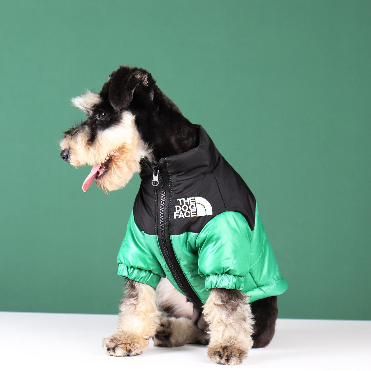 Cool lightly padded dog jacket from the brand Dog Face