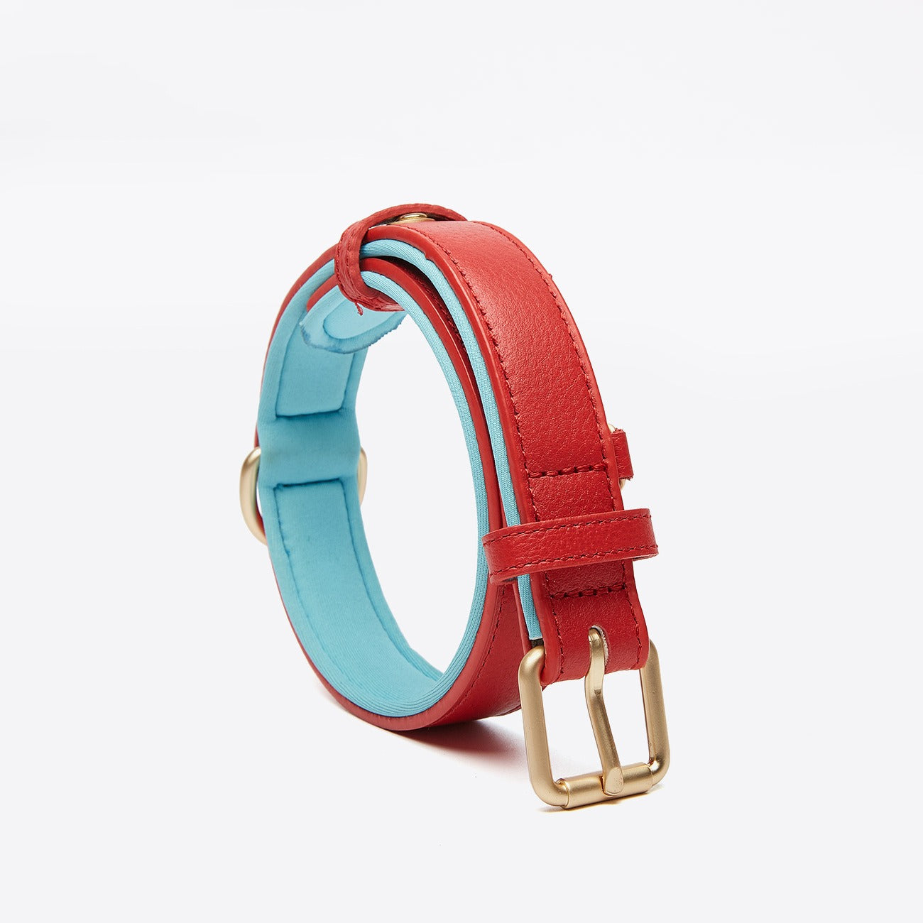 Luxurious two-tone leather dog collar with personal engraving