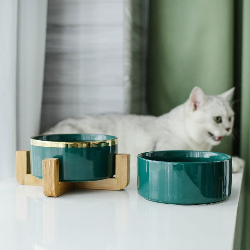 Elegant ceramic food bowl with gold rim and stable wooden base