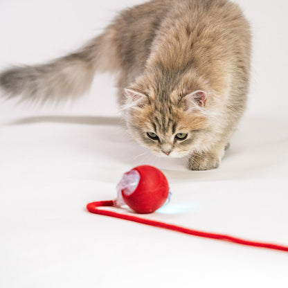 Automatic rolling ball interactive cat toy USB charging