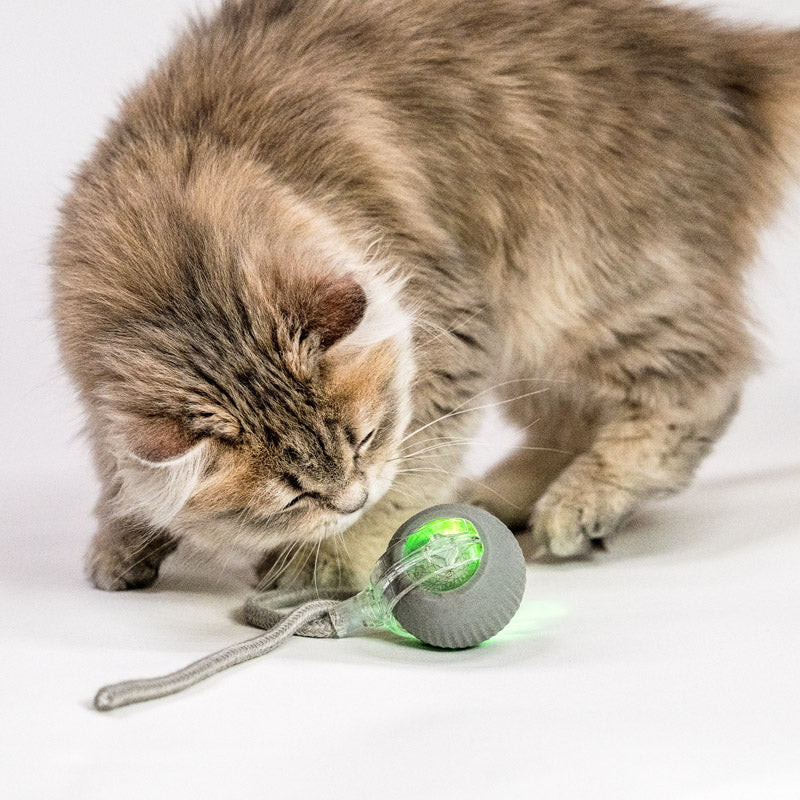 Automatic rolling ball interactive cat toy USB charging