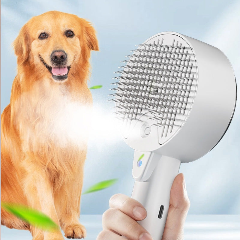 Massage brush combined with water vapor