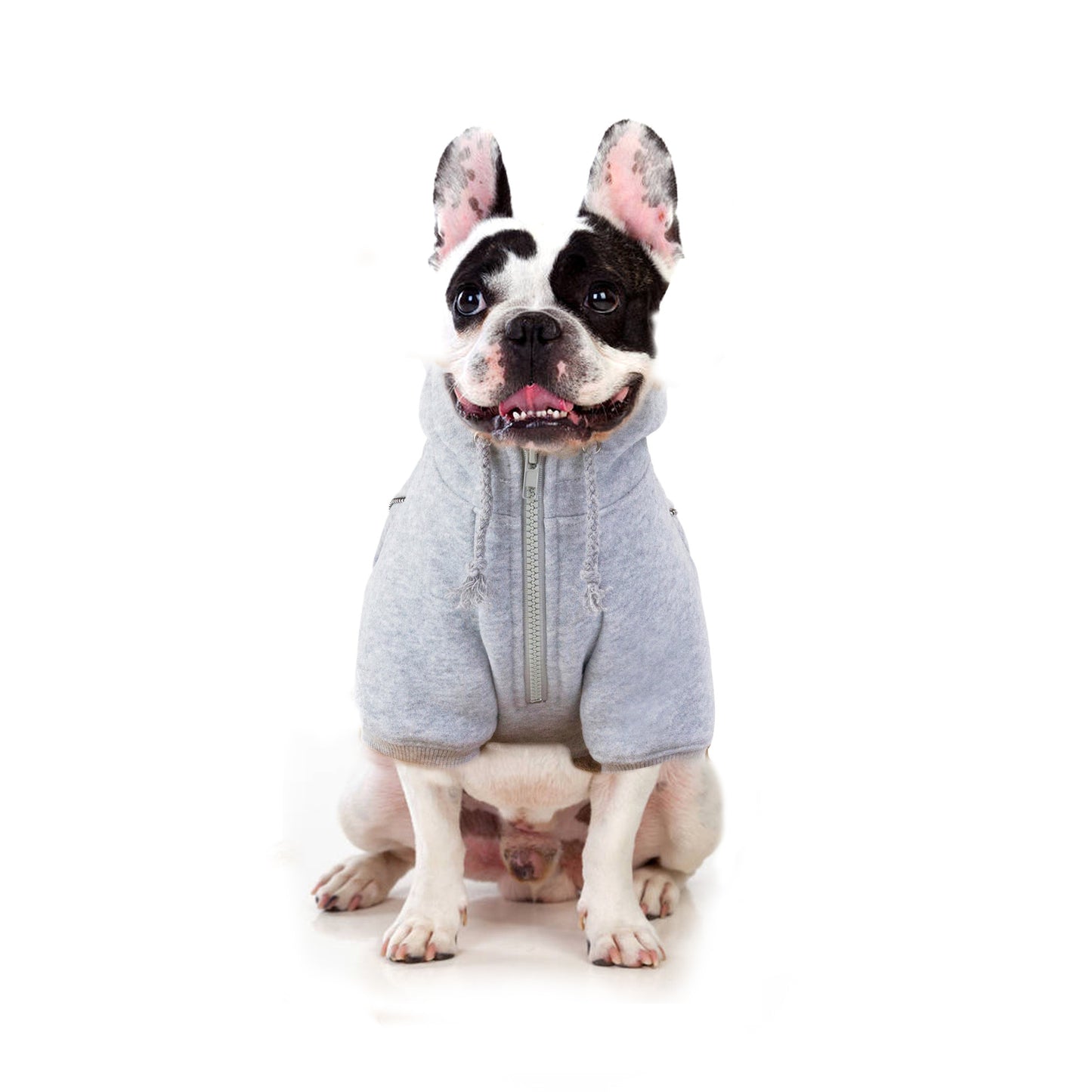 Fleece-lined hoodie in cotton blend for dogs