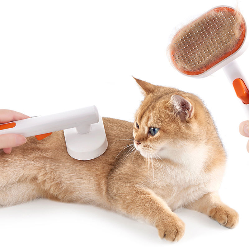 Affordable and practical grooming brush