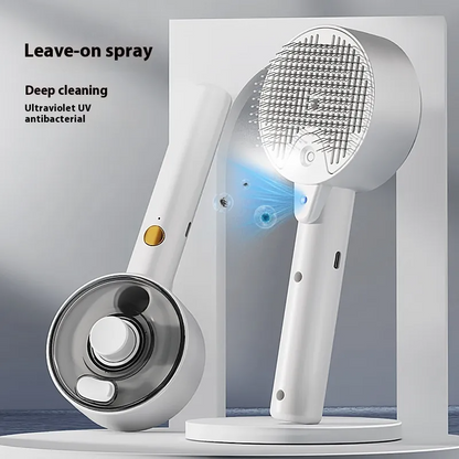 Massage brush combined with water vapor