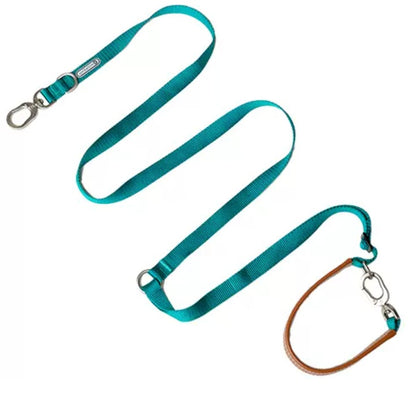 Stylish hands-free leash and harness