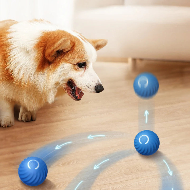 Smart Bouncing Ball for Dog Gravity Intelligent Charged by USB