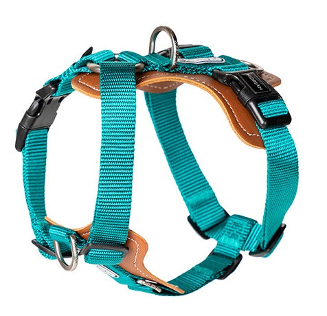 Stylish hands-free leash and harness