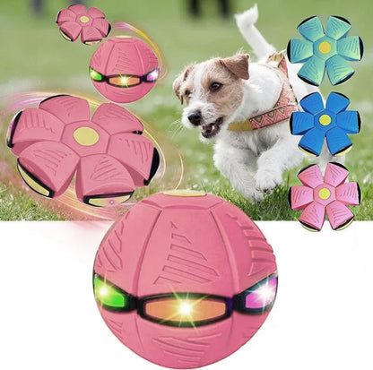 High flying saucer that turns into a bouncing ball – 2-in-1 dog toy