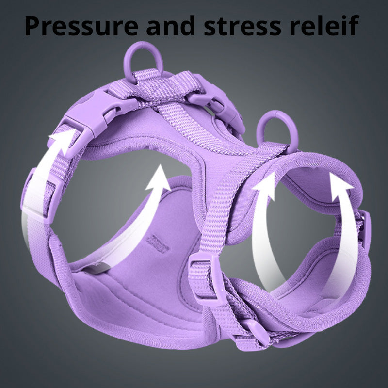 Luxurious color-matched set with harness, leash, collar and waste bag container