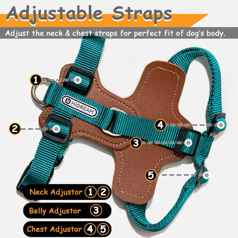 Stylish hands-free leash and harness