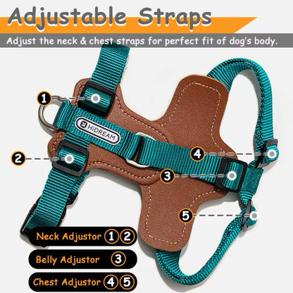 Stylish hands-free leash and harness