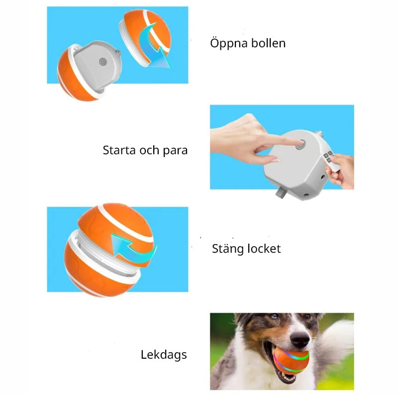 Automatic interactive jumping ball for dogs with USB charging