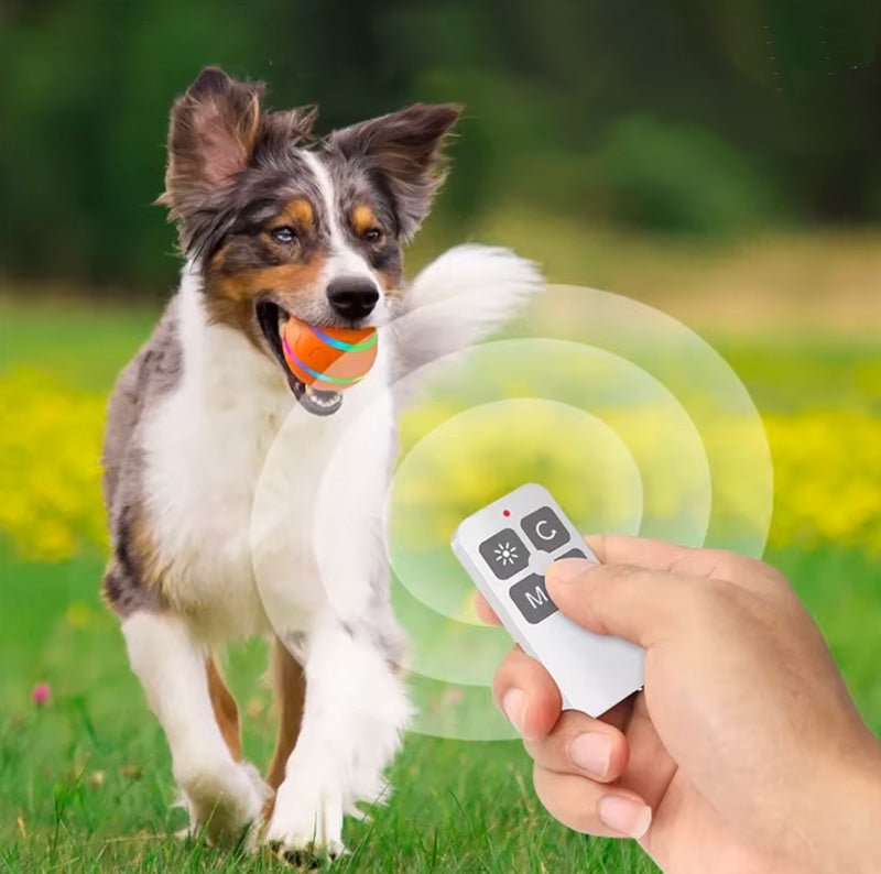 Automatic interactive jumping ball for dogs with USB charging