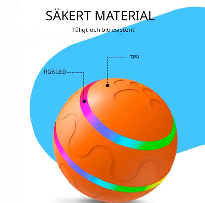 Automatisk interaktiv hoppande boll för hundar med USB laddning