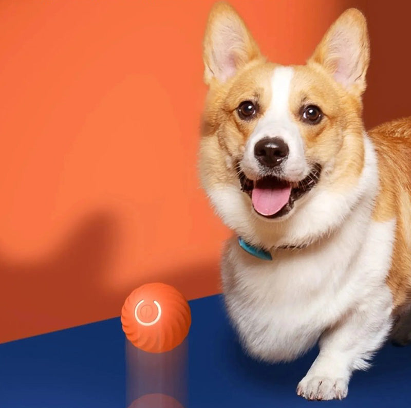 Smart Bouncing Ball for Dog Gravity Intelligent Charged by USB