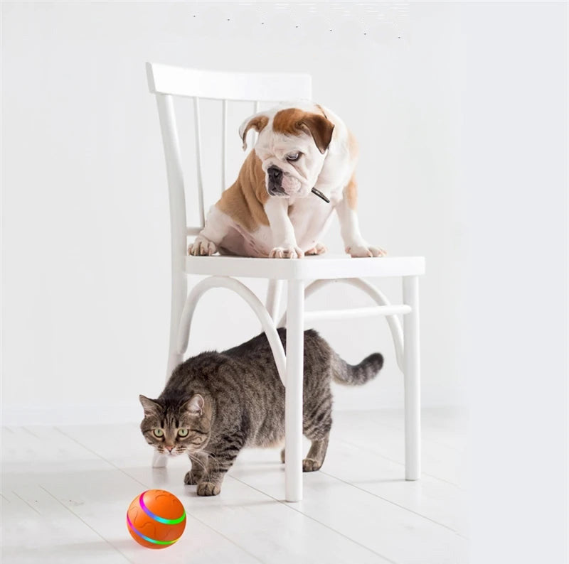 Automatic interactive jumping ball for dogs with USB charging