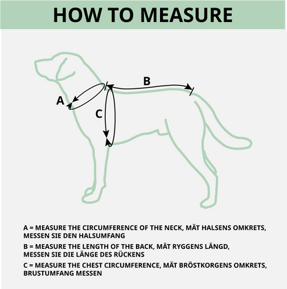 Bekväm hundsele och koppel set