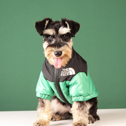 Cool lightly padded dog jacket from the brand Dog Face