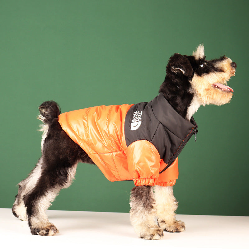 Cool lightly padded dog jacket from the brand Dog Face