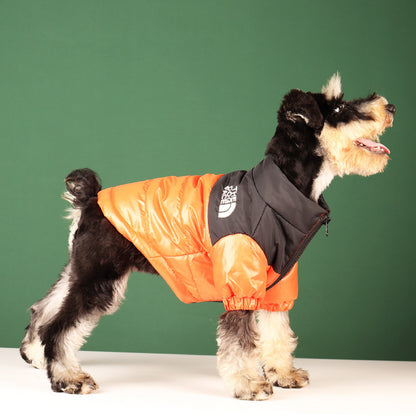 Cool lightly padded dog jacket from the brand Dog Face