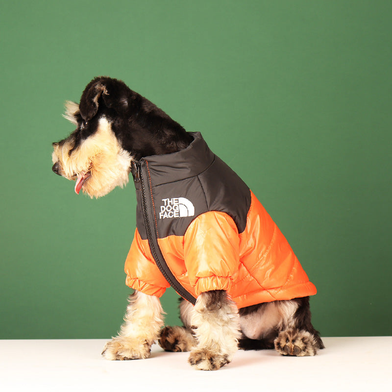 Cool lightly padded dog jacket from the brand Dog Face