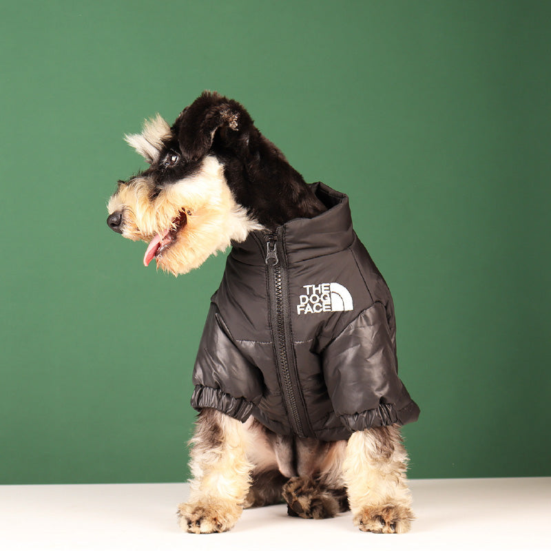 Cool lightly padded dog jacket from the brand Dog Face