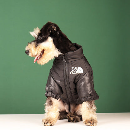 Cool lightly padded dog jacket from the brand Dog Face