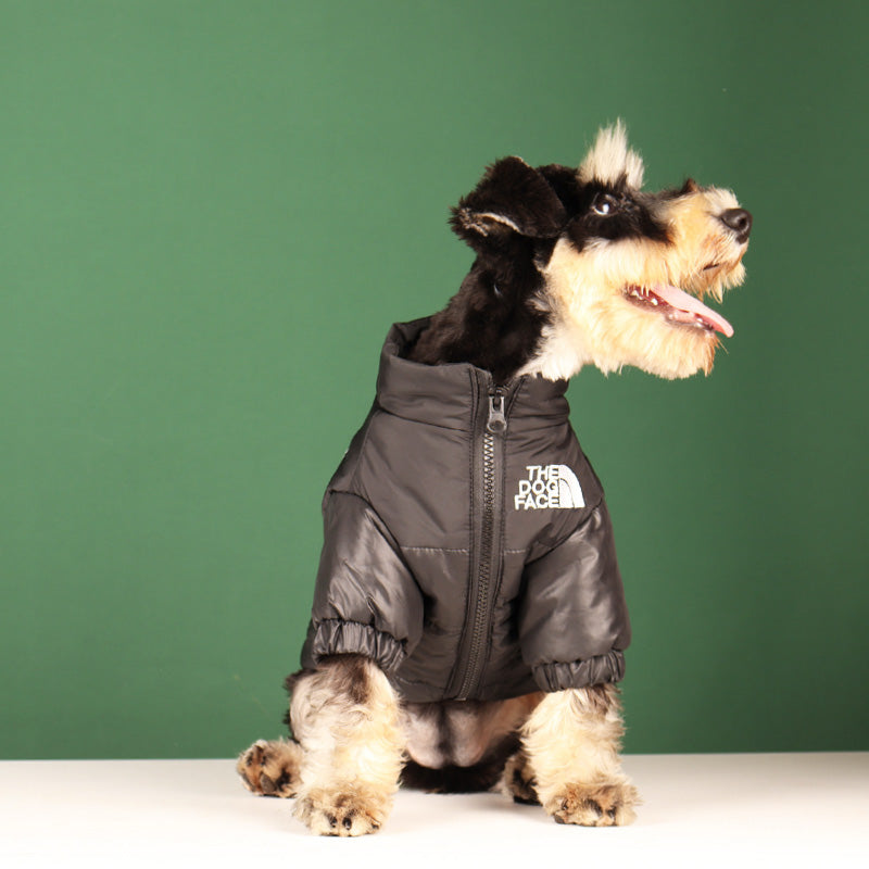 Cool lightly padded dog jacket from the brand Dog Face