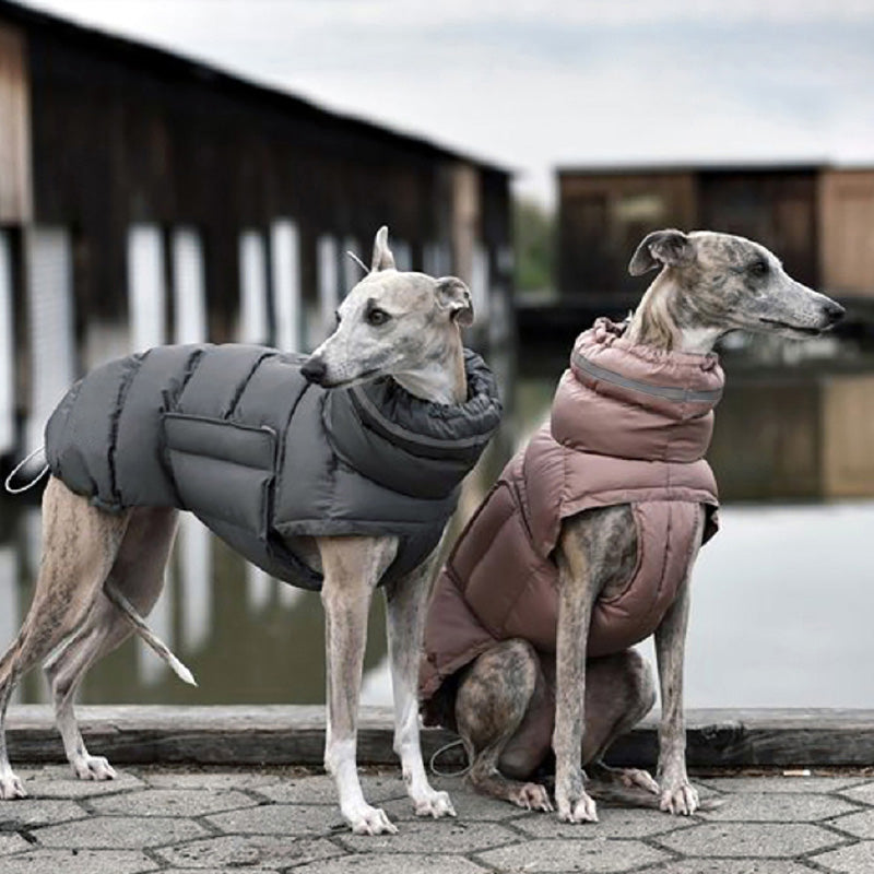 Leicht wattierte Winterjacke mit hohem Kragen und reflektierenden Details