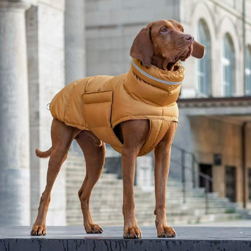 Lightly padded winter jacket with high collar and reflective details